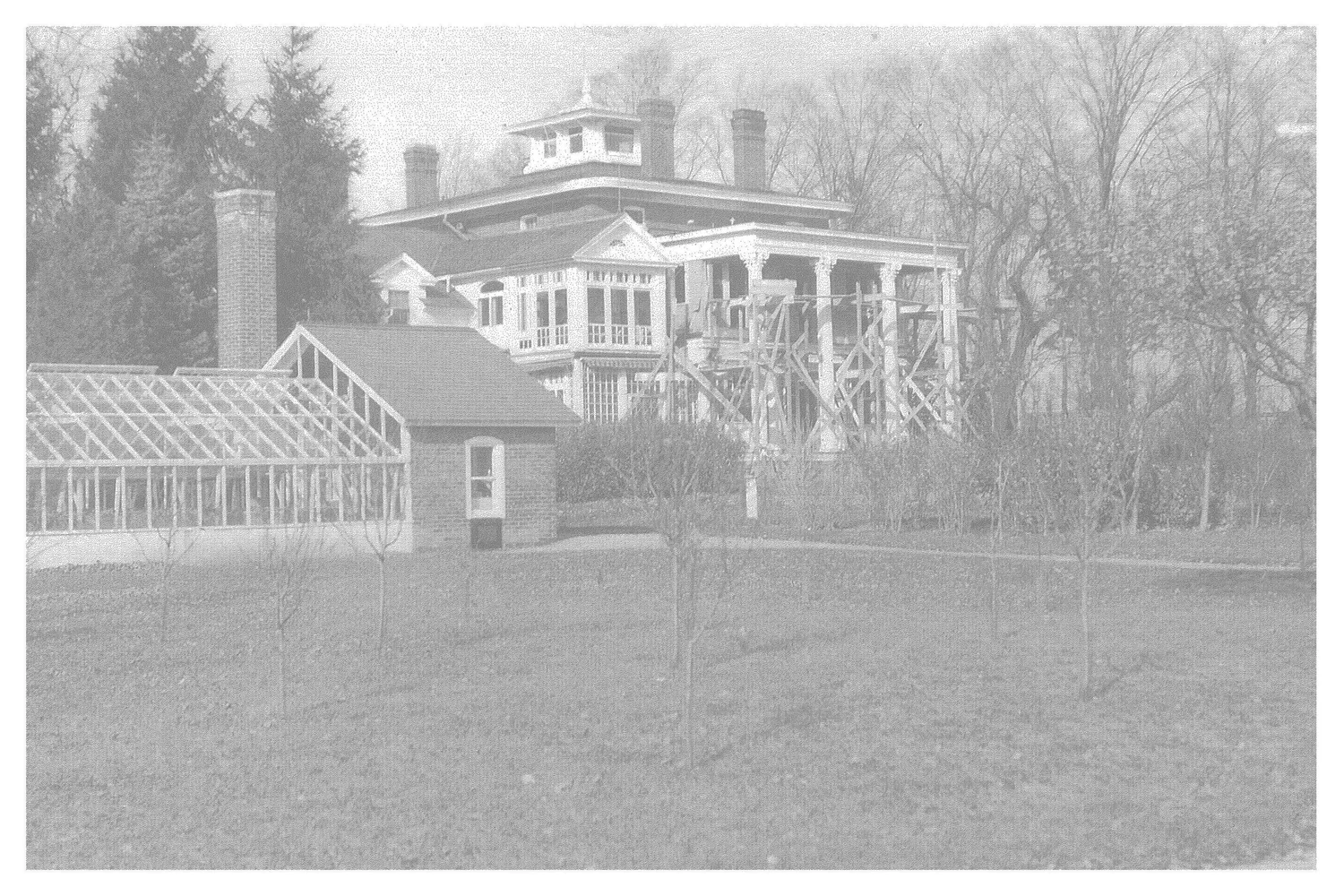 The Fairfield Estate — photograph 159
