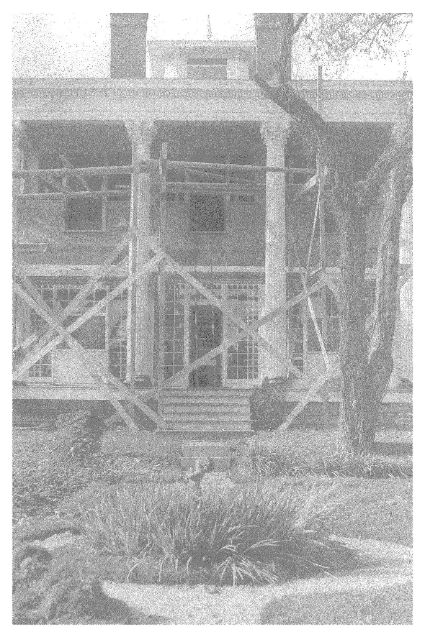 The Fairfield Estate — photograph 162