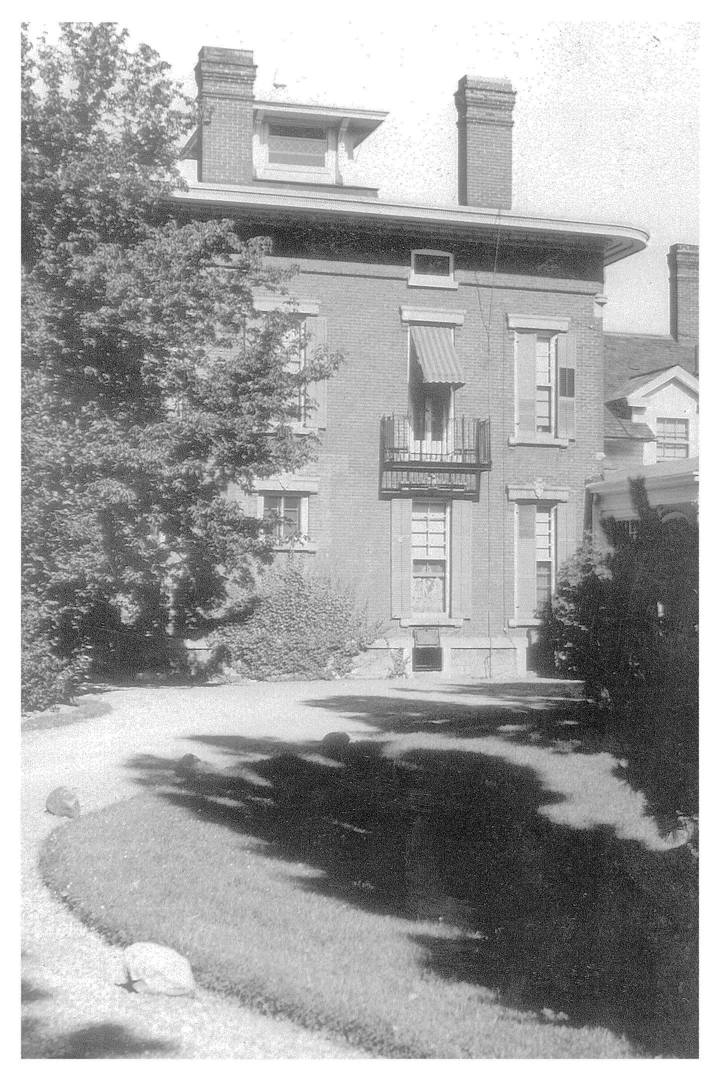 The Fairfield Estate — photograph 164