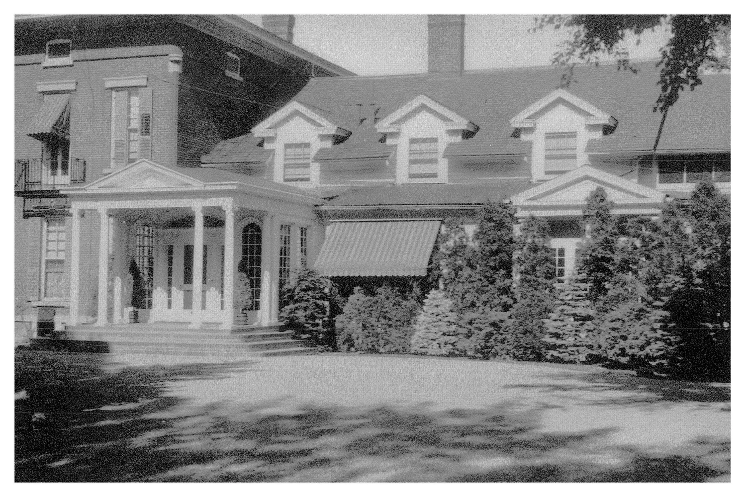 The Fairfield Estate — photograph 166
