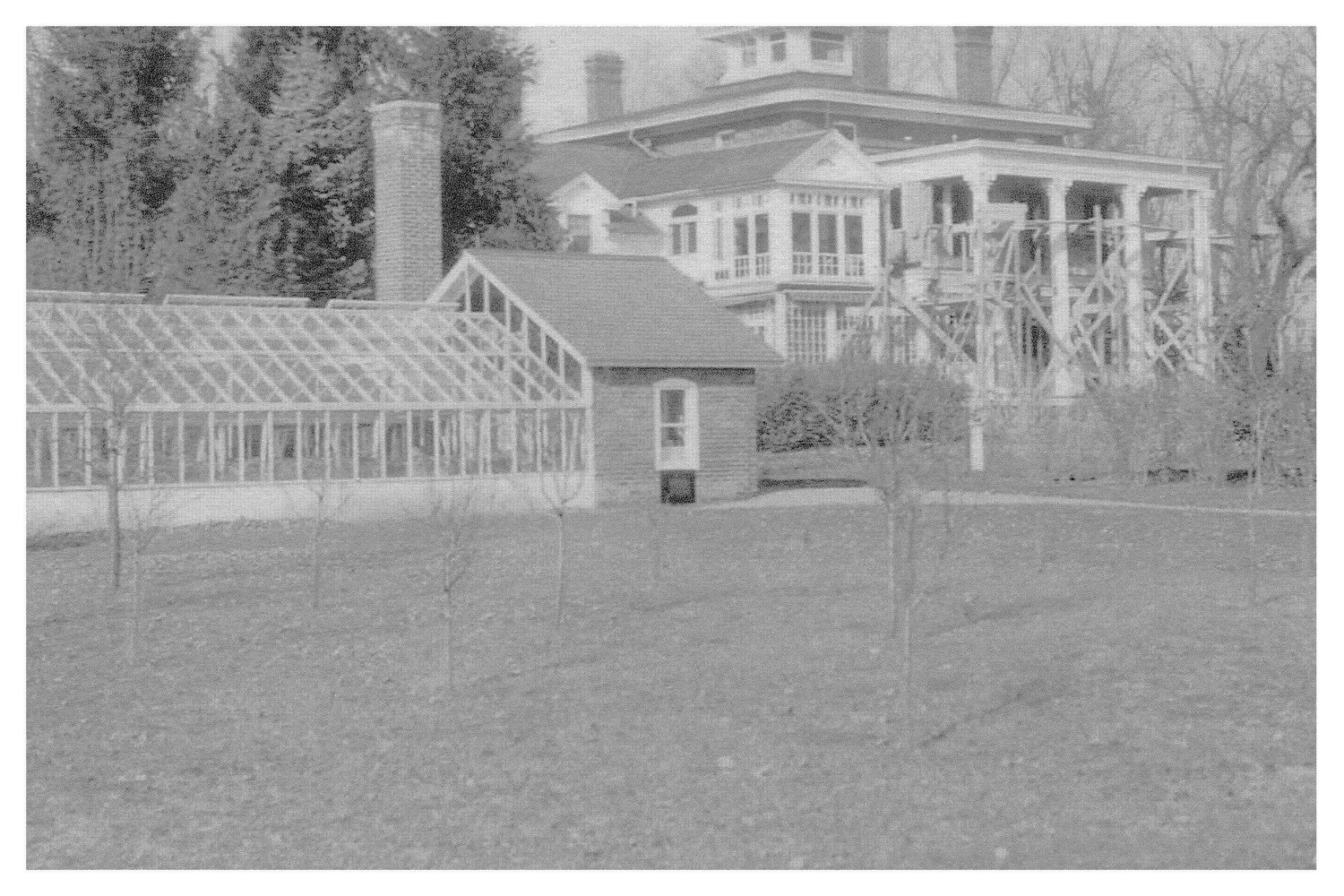 The Fairfield Estate — photograph 167