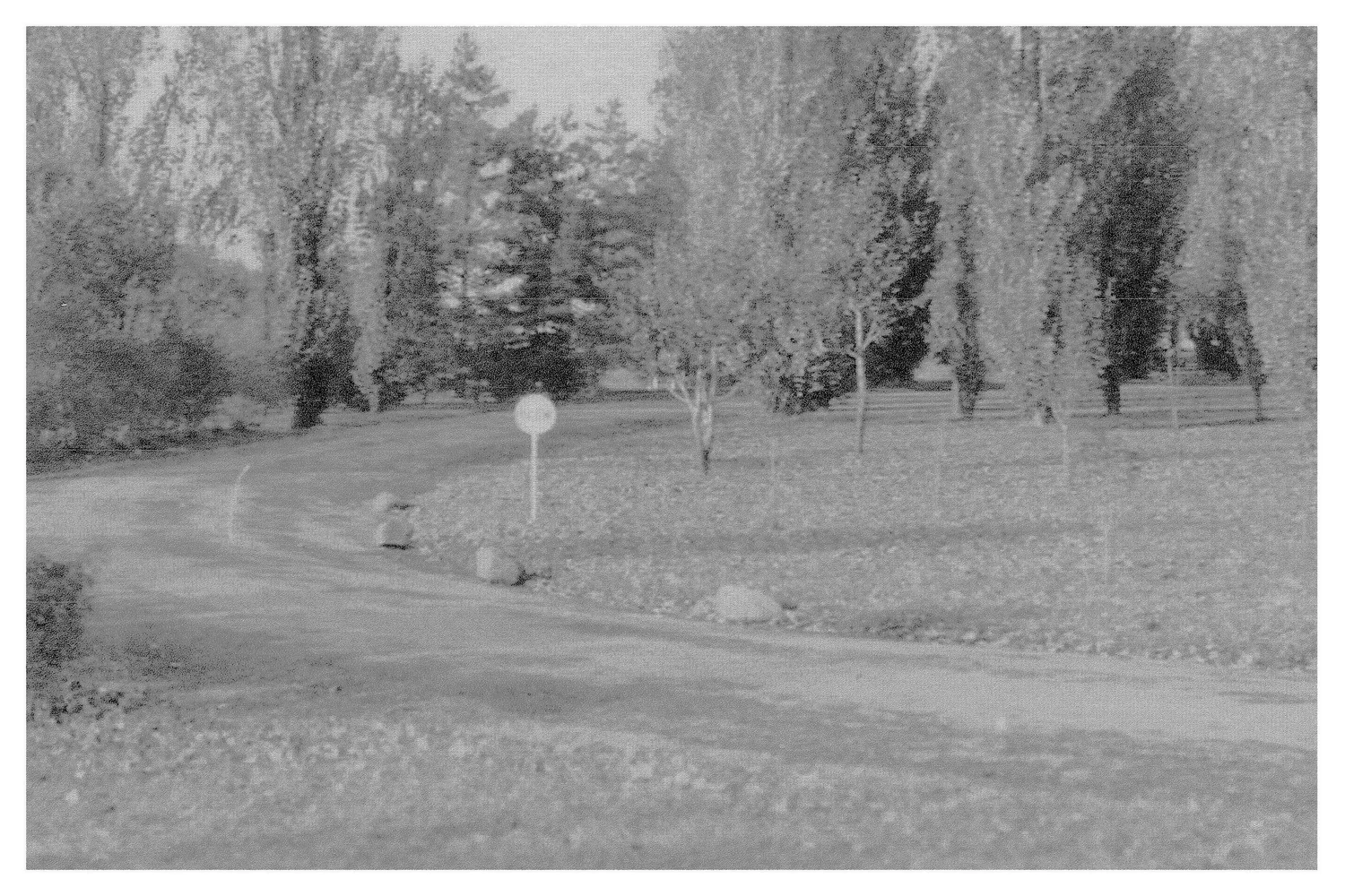 The Fairfield Estate — photograph 169
