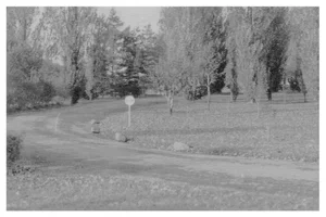 The Fairfield Estate thumbnail 169