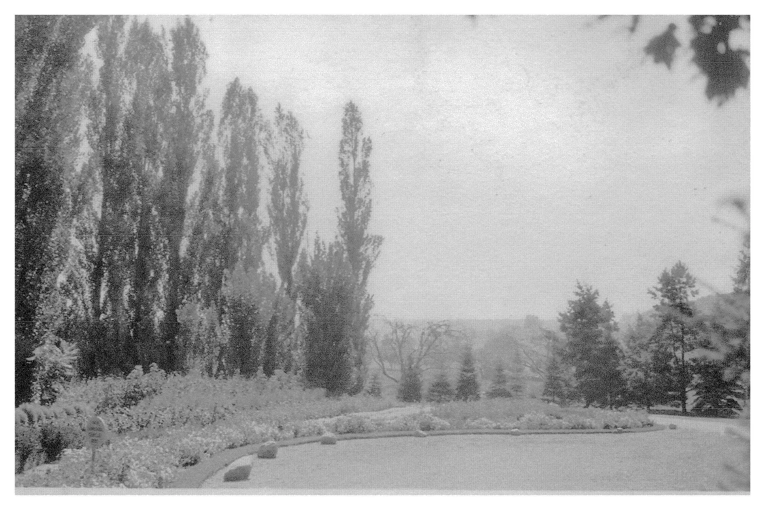 The Fairfield Estate — photograph 170