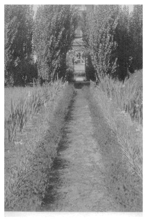 The Fairfield Estate thumbnail 175