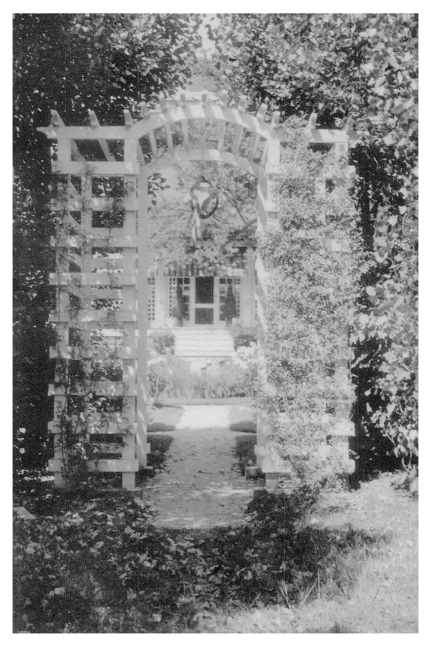 The Fairfield Estate — photograph 176