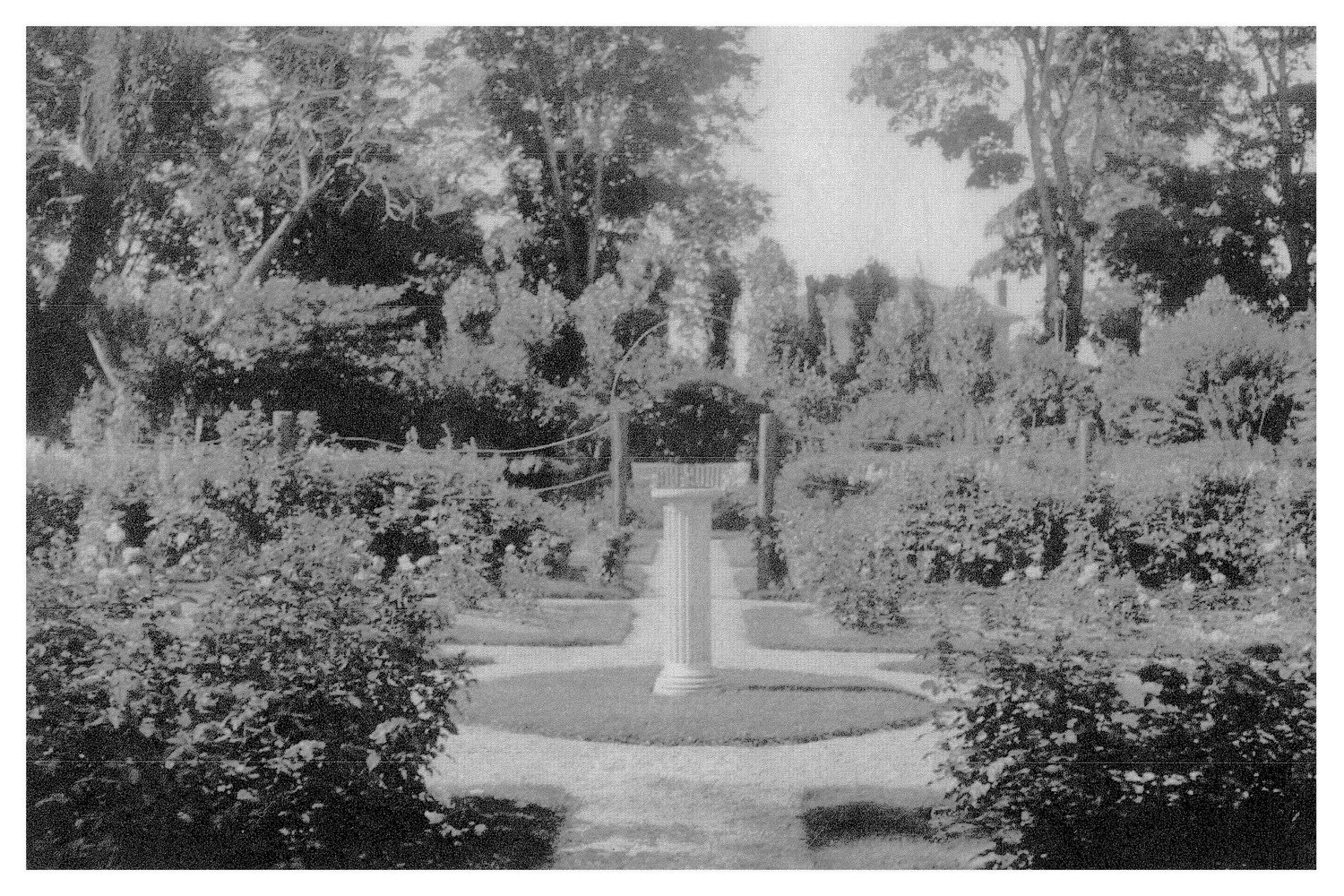 The Fairfield Estate — photograph 181