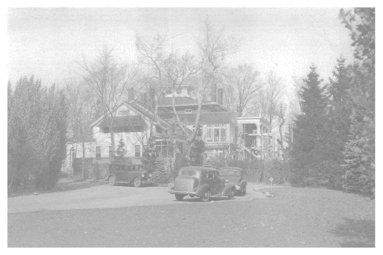 The Fairfield Estate — photograph 185