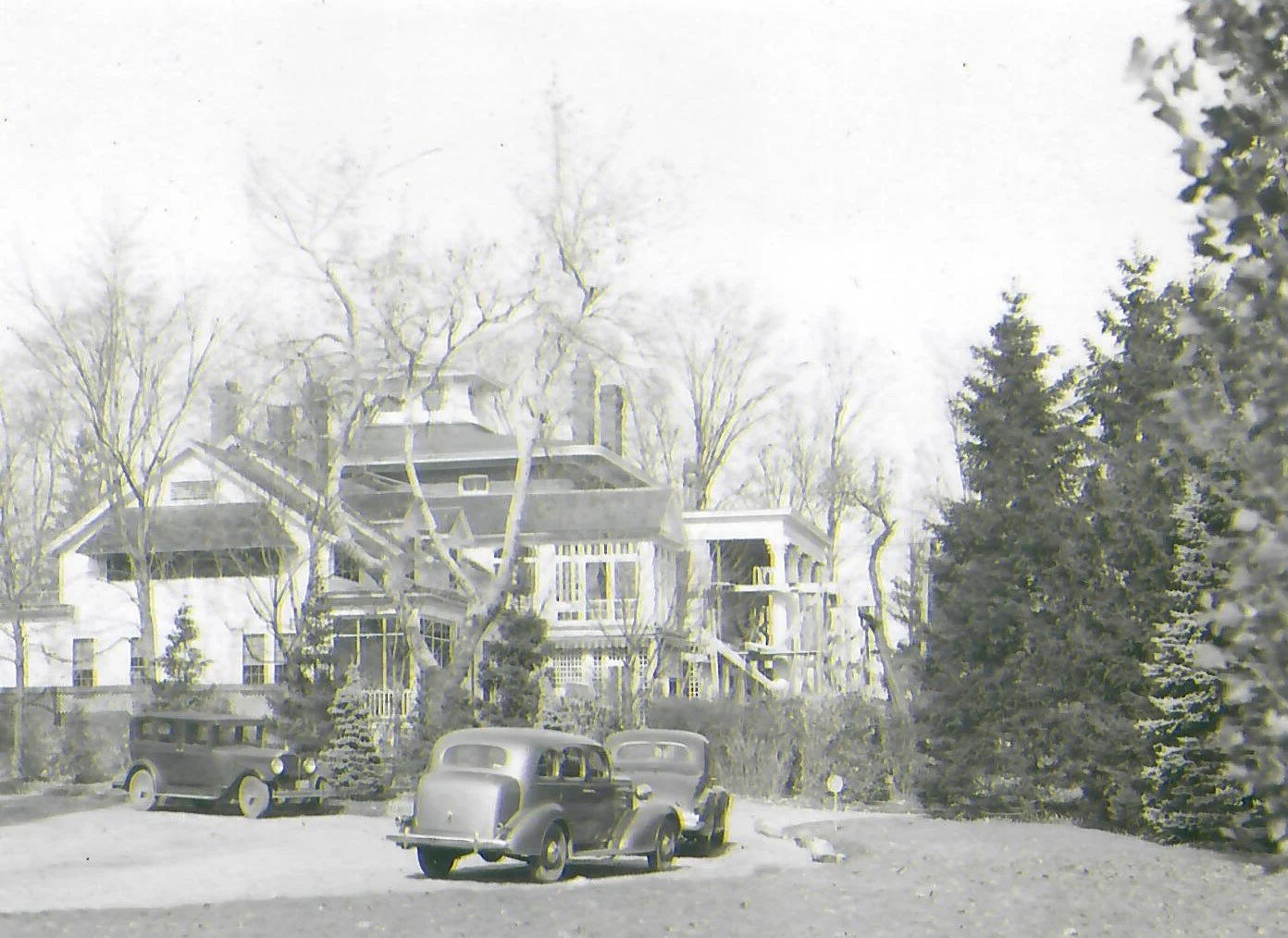 The Fairfield Estate — photograph 188