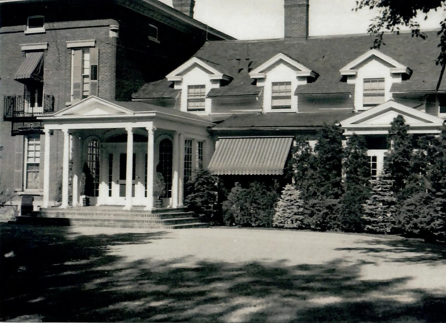 The Fairfield Estate — photograph 189