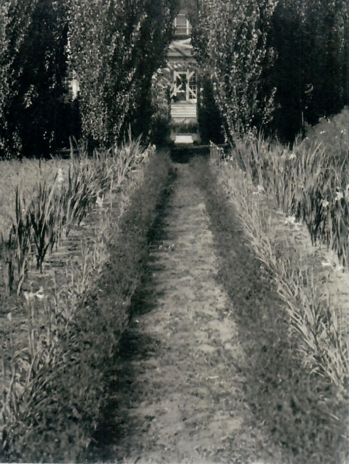 The Fairfield Estate — photograph 191