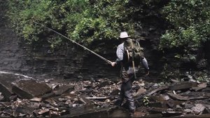 Cascading Waters Haven thumbnail 5
