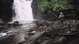 Cascading Waters Haven thumbnail 6