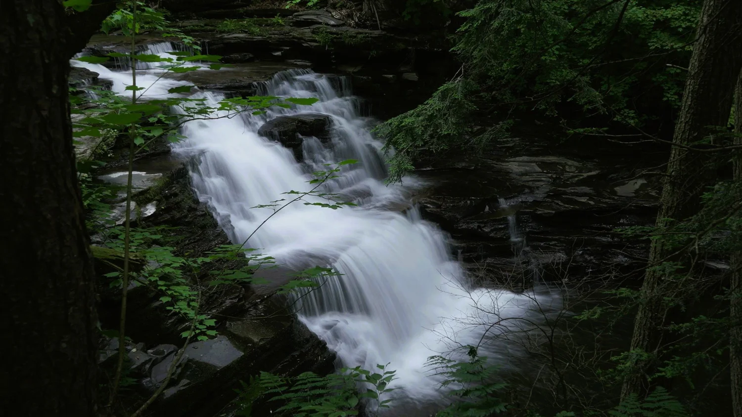 Cascading Waters Haven — photograph 11