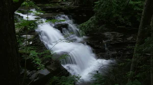 Cascading Waters Haven thumbnail 11