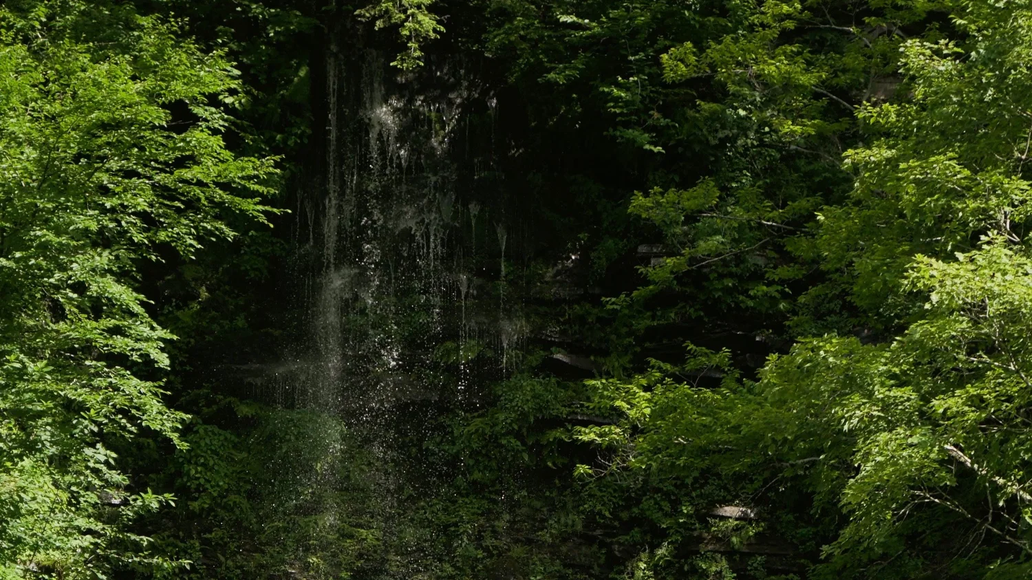 Cascading Waters Haven — photograph 12