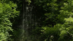 Cascading Waters Haven thumbnail 12
