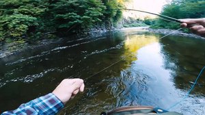 Cascading Waters Haven thumbnail 19