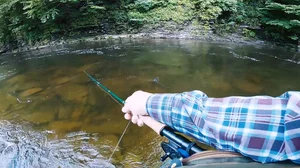 Cascading Waters Haven thumbnail 21