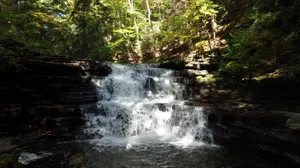 Cascading Waters Haven thumbnail 23
