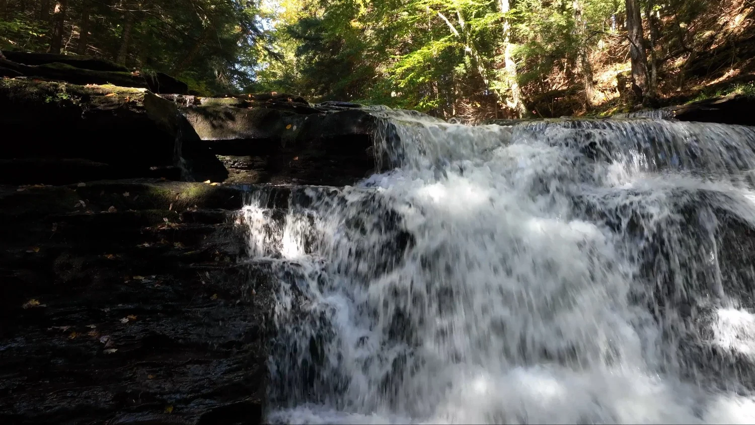 Cascading Waters Haven — photograph 25