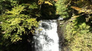 Cascading Waters Haven thumbnail 24