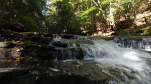 Cascading Waters Haven thumbnail 26