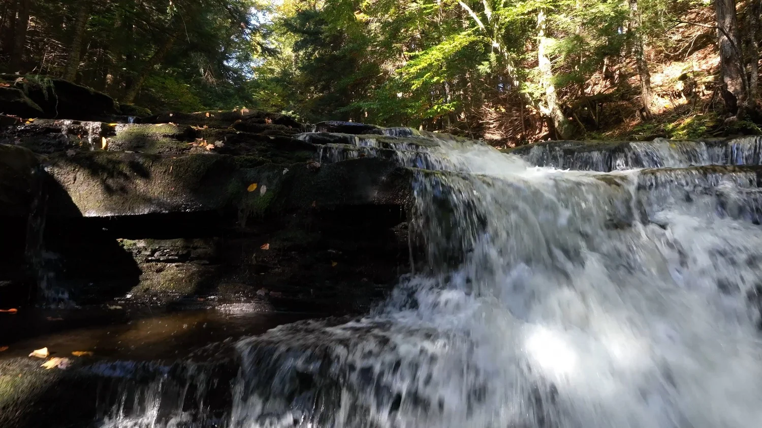 Cascading Waters Haven — photograph 27