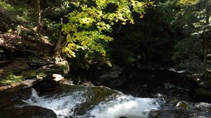 Cascading Waters Haven thumbnail 29