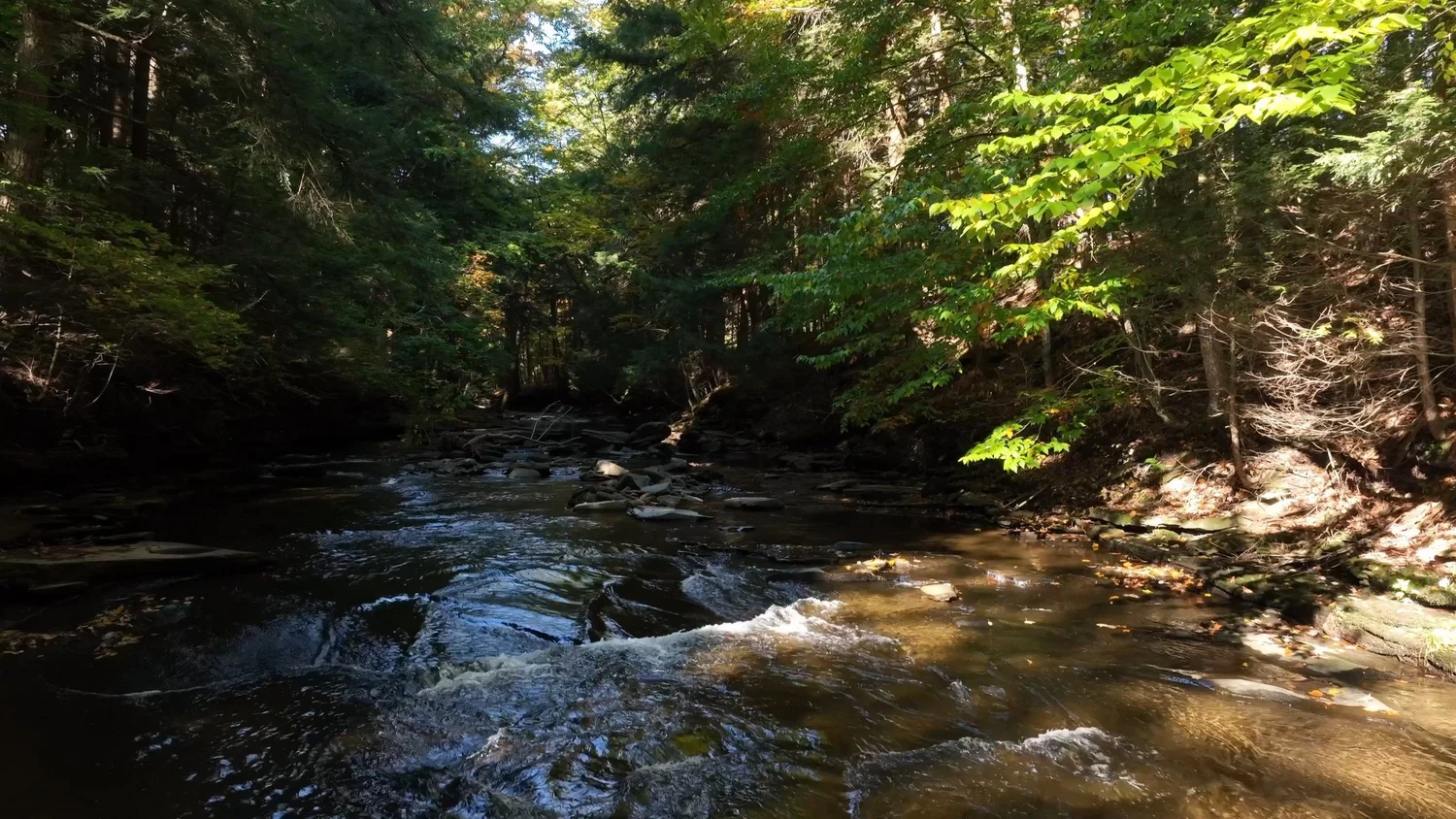 Cascading Waters Haven — photograph 28