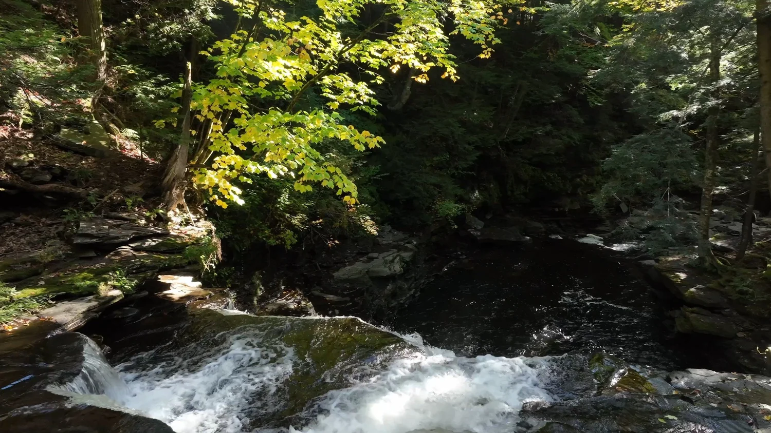 Cascading Waters Haven — photograph 30
