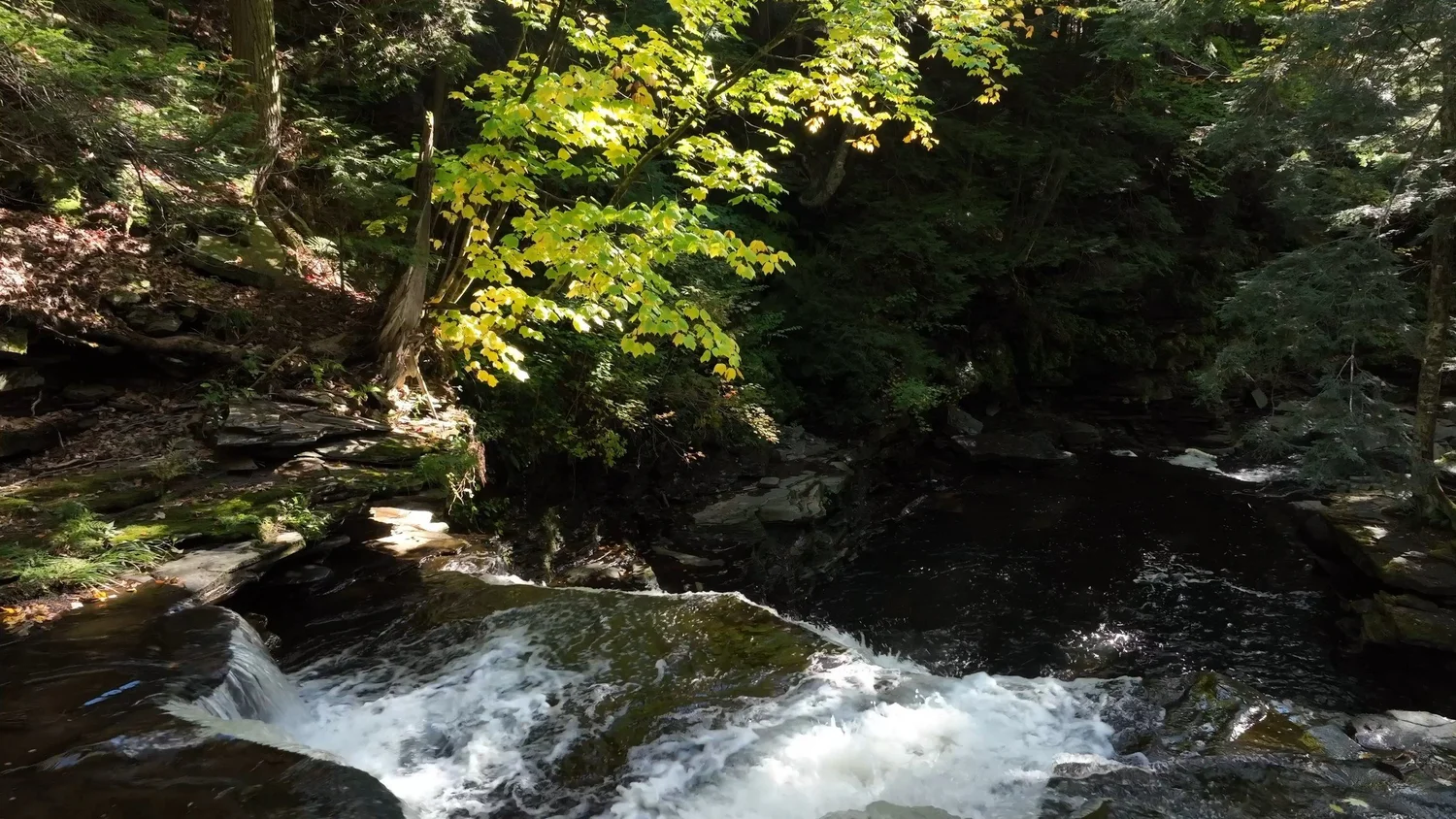 Cascading Waters Haven — photograph 31