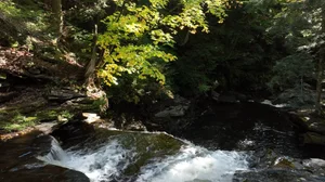 Cascading Waters Haven thumbnail 31