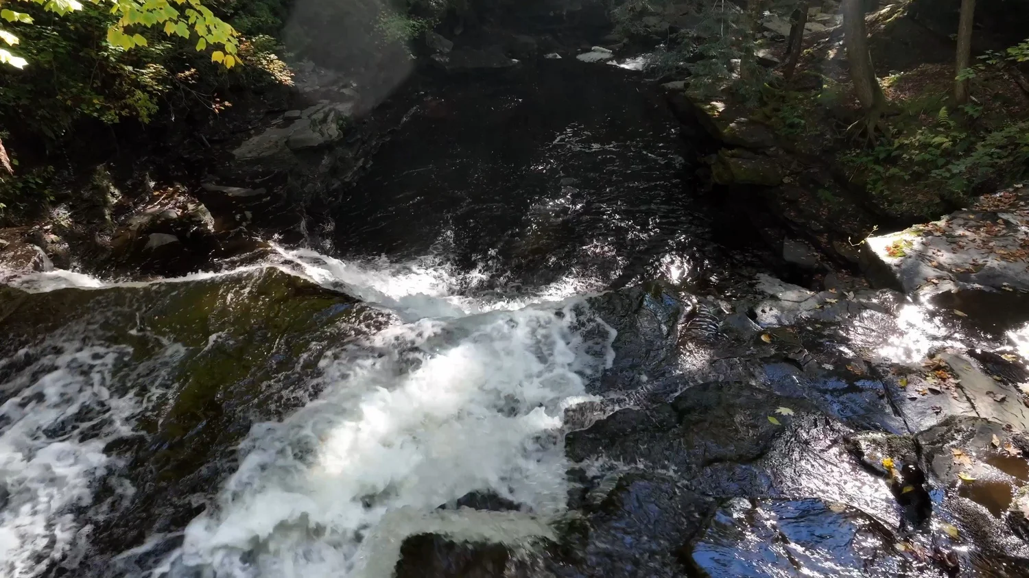 Cascading Waters Haven — photograph 32