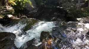 Cascading Waters Haven thumbnail 33