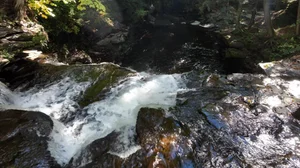 Cascading Waters Haven thumbnail 34