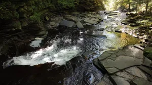 Cascading Waters Haven thumbnail 38