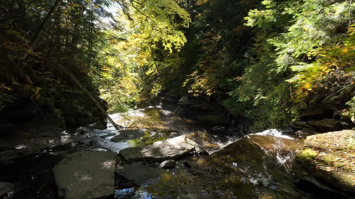 Cascading Waters Haven — photograph 39