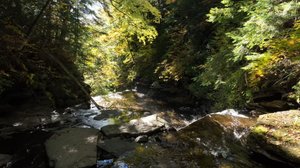 Cascading Waters Haven thumbnail 39
