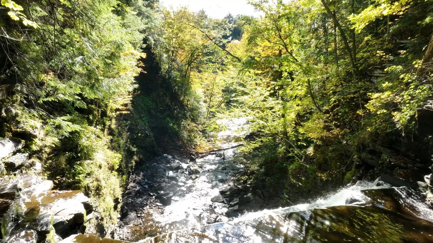 Cascading Waters Haven — photograph 41