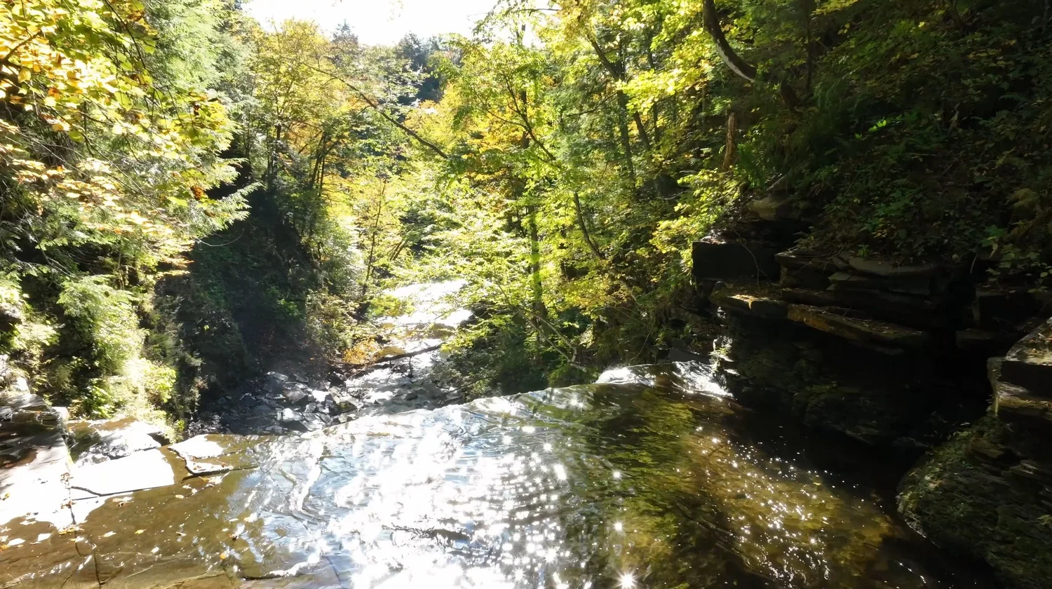 Cascading Waters Haven — photograph 40
