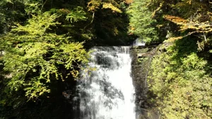 Cascading Waters Haven thumbnail 42