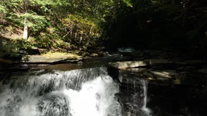 Cascading Waters Haven thumbnail 47