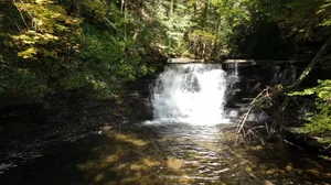 Cascading Waters Haven thumbnail 46