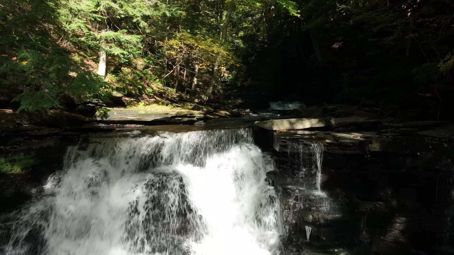 Cascading Waters Haven — photograph 48