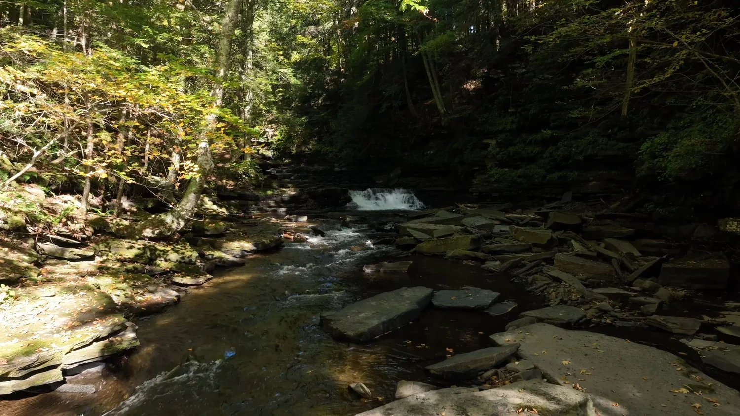 Cascading Waters Haven — photograph 50