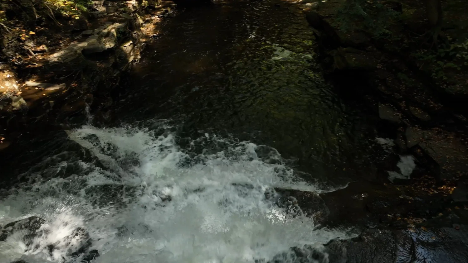 Cascading Waters Haven — photograph 55