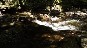 Cascading Waters Haven thumbnail 57
