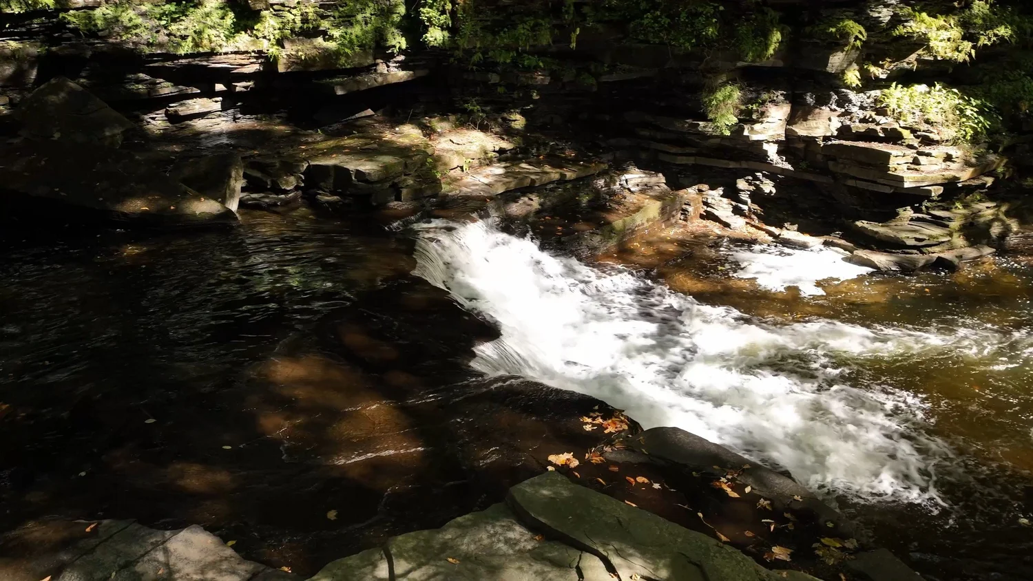 Cascading Waters Haven — photograph 58