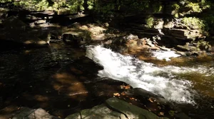 Cascading Waters Haven thumbnail 58